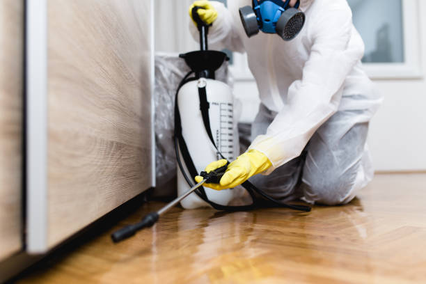 Best Pest Control for Homes  in Wayland, IA