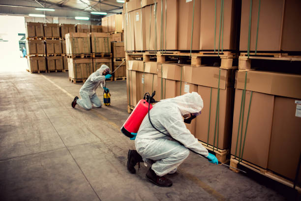 Best Cockroach Control Services  in Wayland, IA