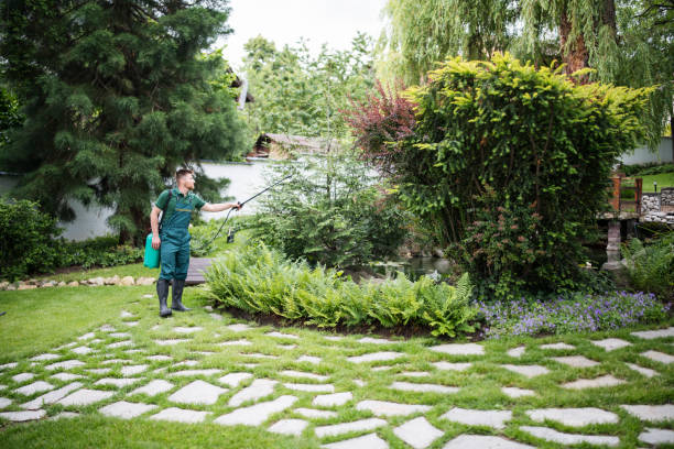 Best Residential Pest Control  in Wayland, IA