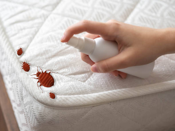 Best Pest Prevention Services  in Wayland, IA