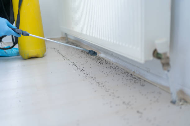 Best Best Pest Control Companies  in Wayland, IA