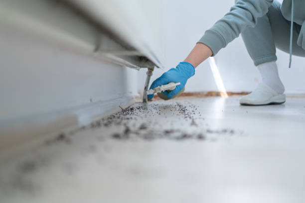 Best Best Pest Control Companies  in Wayland, IA