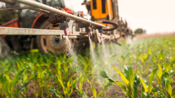 Best Mosquito Control Services  in Wayland, IA